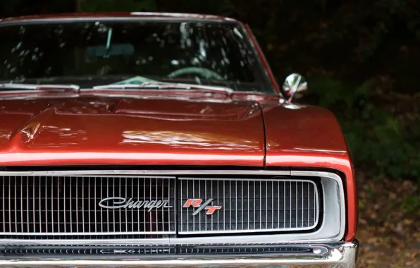 Picture retro, grille, classic, Charger, Dodge Charger