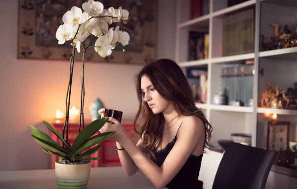 Picture face, model, hair, Orchid, Clear