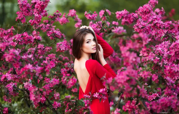 Picture girl, flowers, makeup, garden, dress, hairstyle, brown hair, beautiful, in red, the bushes, posing