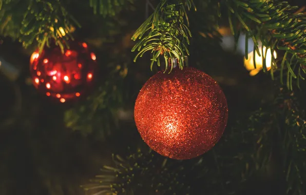 Picture holiday, tree, new year, Christmas, ball, decoration, christmas, new year