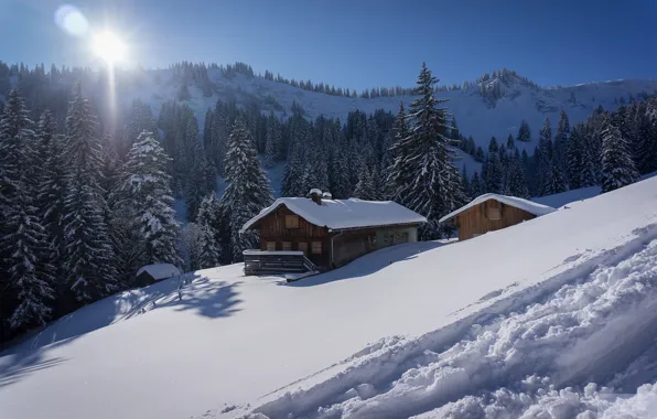 Picture winter, snow, trees, mountains, Germany, Bayern, the snow, houses, Germany, Bavaria, Allgäu, Allgäu, Allgäu Alps, …