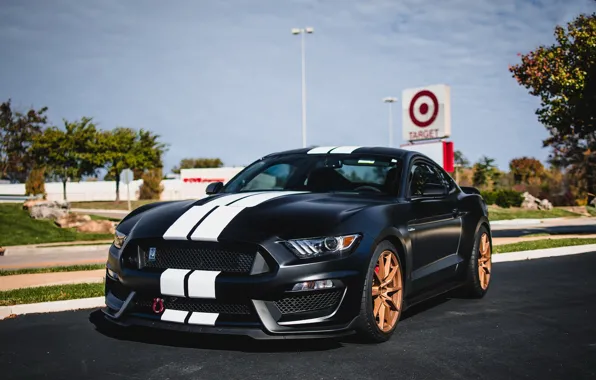 Picture Mustang, Shelby, GT350