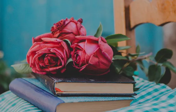 Picture style, books, roses, buds