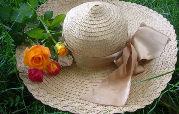 Picture summer, hat, flowers, roses