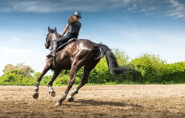 Picture Girl, Horse, Sport, Running, Rider, Horse Riding