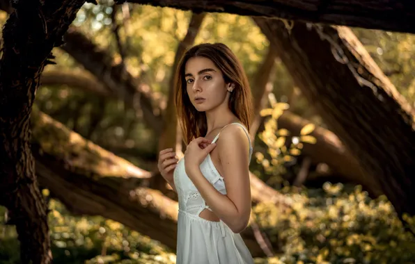 Picture look, the sun, trees, model, portrait, makeup, dress, hairstyle, brown hair, in white, nature, posing, …