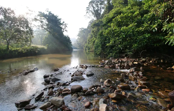 Picture Nature, River, Stones, Nature, River, Malaysia, Malaysia