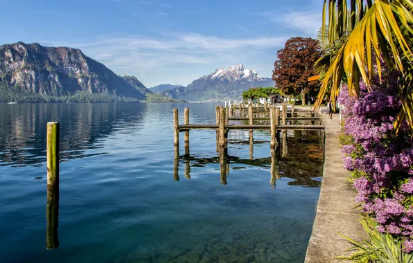 Picture mountains, lake, Switzerland, Switzerland, Weggis, Canton of Lucerne