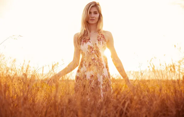 Picture field, grass, the sun, nature, dress, hairstyle, blonde, Laura, Bear Case