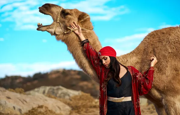 Picture pose, model, camel, turban