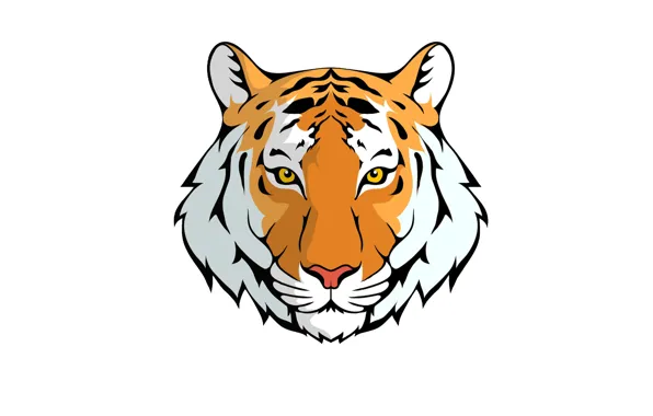 Picture tiger, minimalism, head, light background, tiger