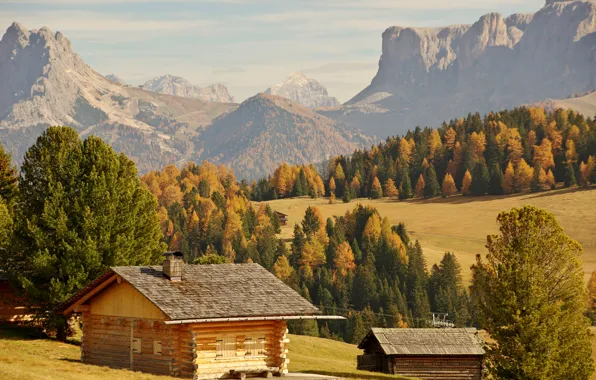Picture autumn, forest, the sun, trees, mountains, rocks, valley, Italy, houses, Bolzano