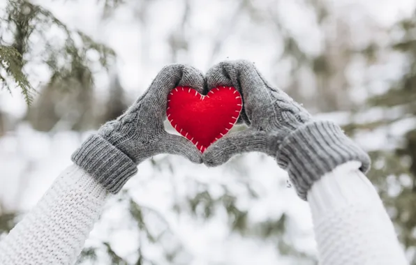 Picture winter, snow, love, heart, tree, red, love, heart, winter, mittens, snow, romantic, hands, valentine, fir …