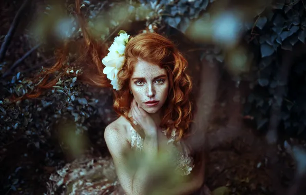 Picture forest, flower, look, freckles, red, hairstyle, redhead, curls, freckled, Camila Espinoza