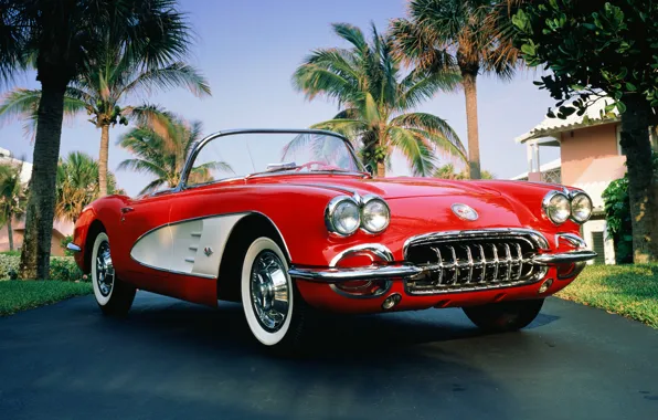 Picture Palma, 1960, corvette, convertible, chevrolet, convertible