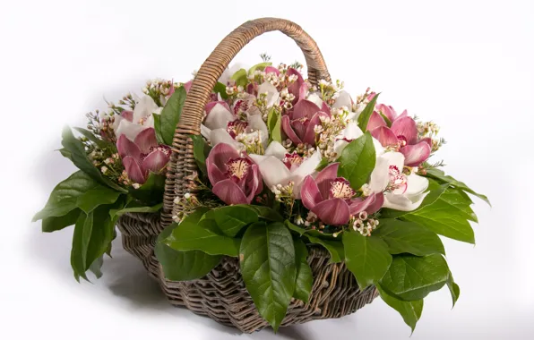 Picture basket, roses, orchids