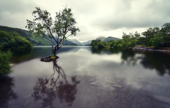 Picture mountains, lake, tree, Wales, Snowdonia