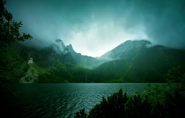 Picture greens, water, trees, mountains, clouds, lake