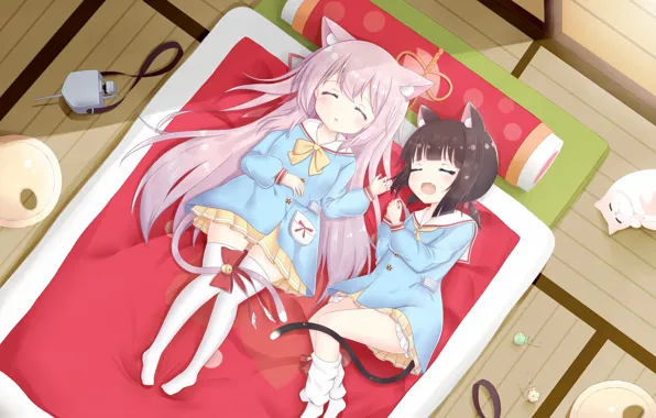 Picture Anime, Girls, Sleep, Azur Lane