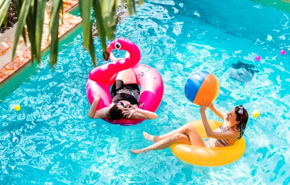 Picture water, girls, stay, pool, Flamingo