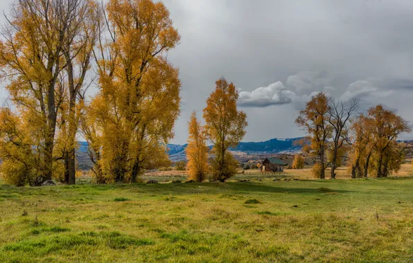 Picture field, autumn, forest, grass, clouds, trees, mountains, house, USA, Colorado