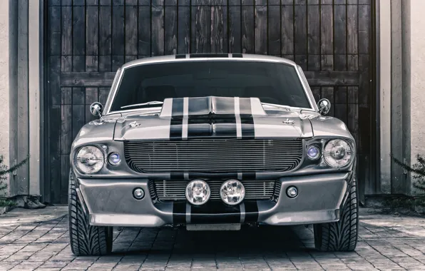 Picture Mustang, Ford, Shelby, GT500, Eleanor, Muscle car, Silver