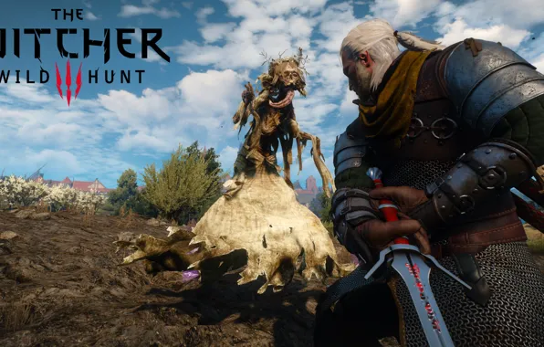 Picture the Witcher, Geralt of rivia, the Witcher 3: wild hunt