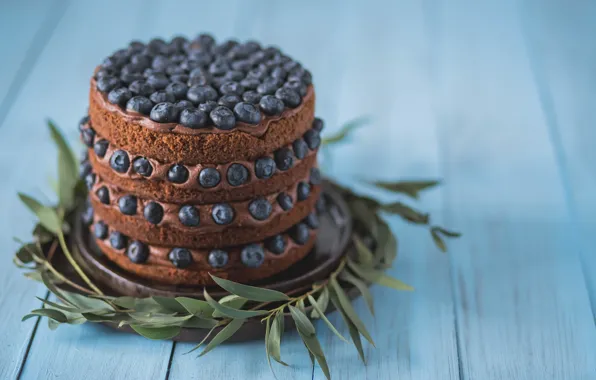 Picture chocolate, blueberries, cake, decoration, sweet