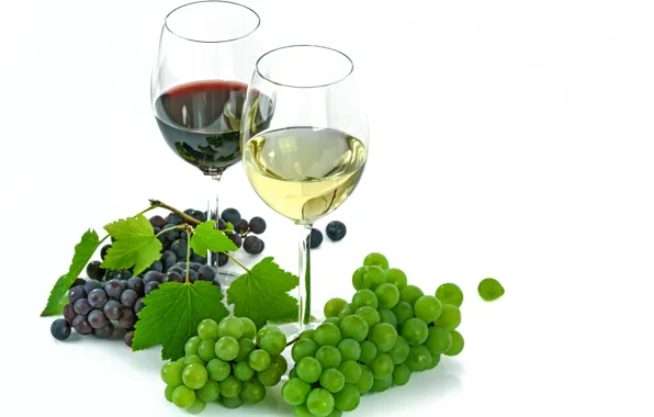 Picture berries, wine, glass, grapes