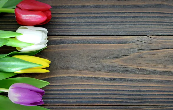 Picture flowers, colorful, tulips, wood, romantic, tulips