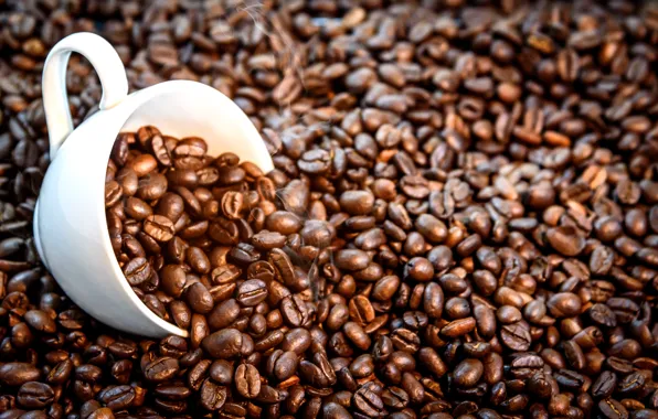 Picture background, coffee, grain, Cup, texture, background, cup, beans, coffee, roasted