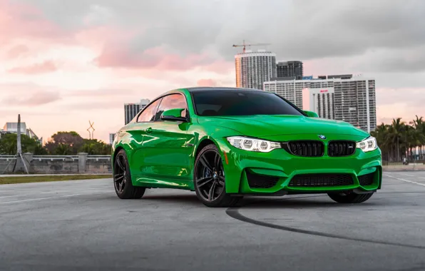 Picture BMW, Light, Green, Frog, Sight, LED, F83