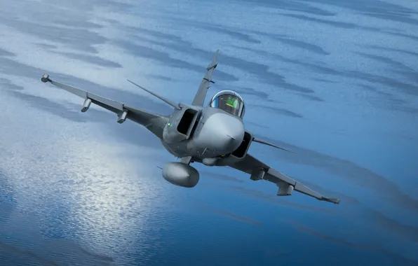 Picture fighter, multipurpose, Swedish, Can Gripen