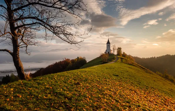 Picture autumn, leaves, tree, hill, Church, Slovenia