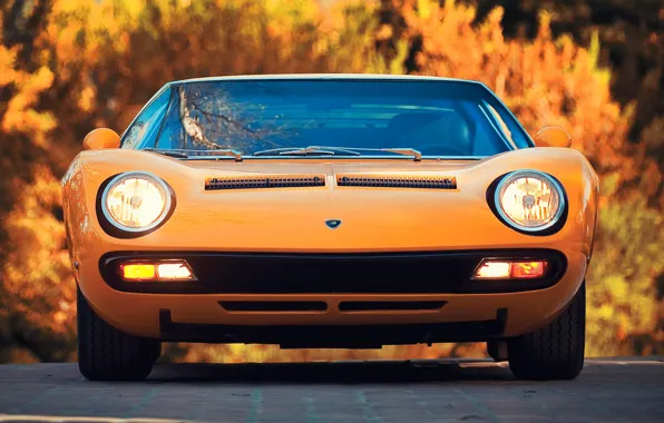 Picture Auto, Lamborghini, Machine, Orange, Eyelashes, 1971, Lights, Car, Supercar, The front, Lamborghini Miura, P400, SVJ, …