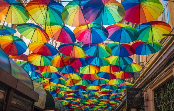 Picture Umbrella, Romania, Romania, Umbrellas, Bucharest, Bucharest