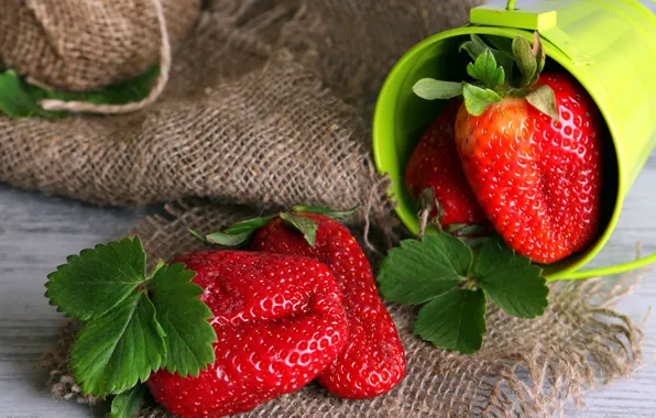 Picture summer, berries, strawberry, bucket