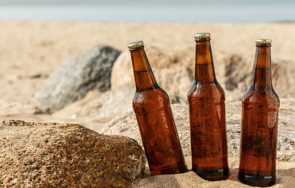 Picture sand, sea, beach, the sun, stones, beer, bottle, wet, bokeh, closeup