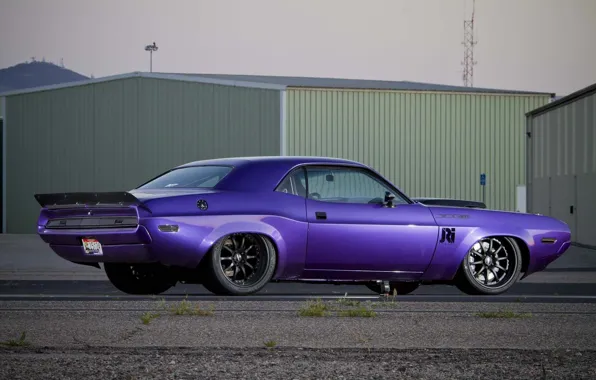 Picture Dodge Challenger, muscle car, purple, 1070