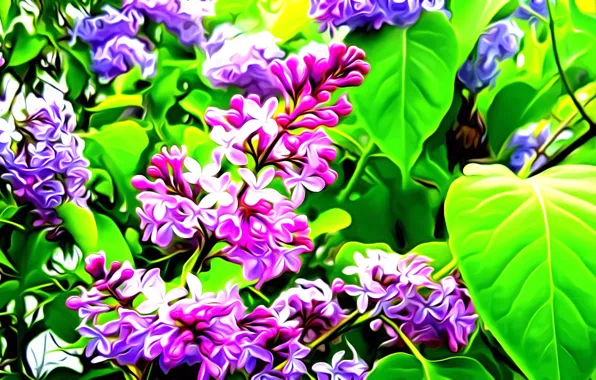 Picture leaves, flowers, rendering, vector, branch, lilac