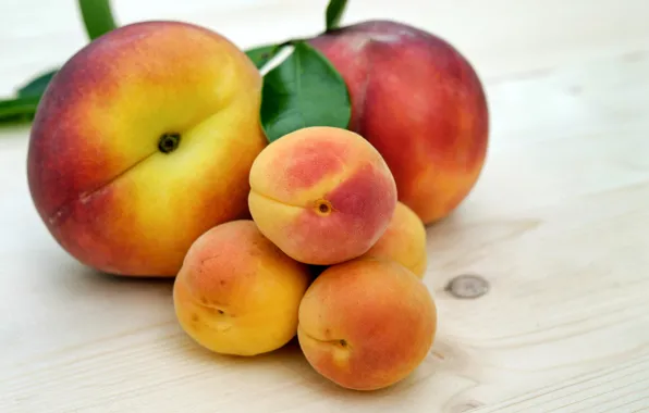 Picture Red, Peach, Ripe, apricot, Fruit, Sweet