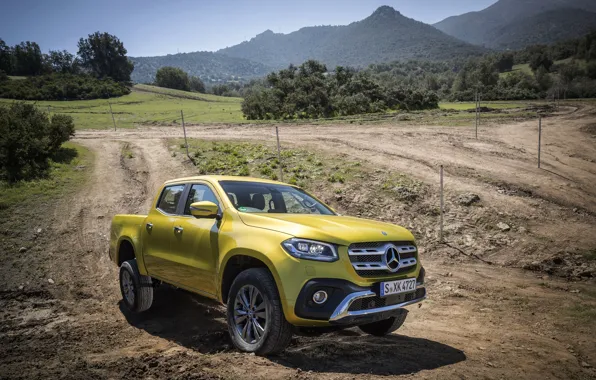 Picture yellow, earth, vegetation, Mercedes-Benz, pickup, primer, 2017, X-Class