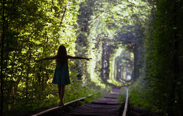 Picture green, silhouette, Trees, train tracks