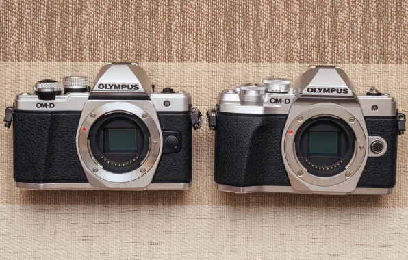 Picture pair, cameras, Olympus OM-D