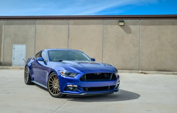 Picture mustang, wheels, ford, blue niche