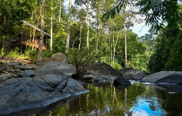 Picture greens, forest, the sun, trees, tropics, stream, stones, Thailand, gazebo, Pala-U Waterfall
