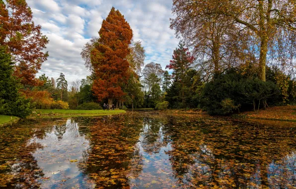 Picture autumn, the sky, leaves, clouds, trees, pond, Park, people, France, the bushes, Chatenay-Malabry