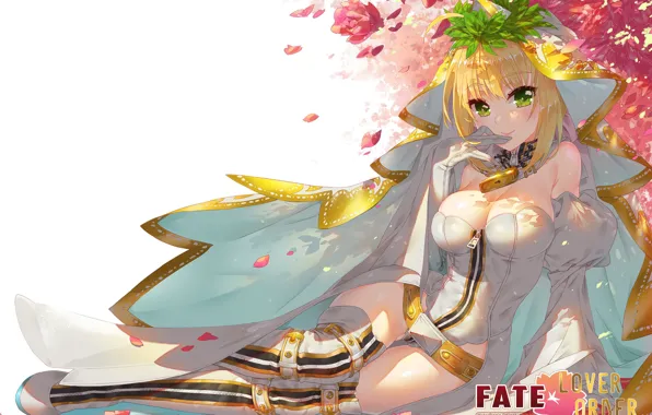 Picture anime, oppai, bishojo, light novel, japonese, Fate Series, FateExtra Fate