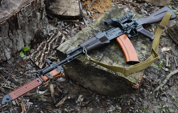 Picture Kalashnikov, strap, AK-74