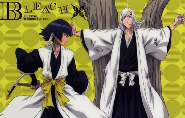 Picture game, Bleach, anime, asian, manga, japanese, oriental, asiatic, powerful, strong, sugoi